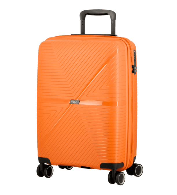 Aer lingus extra baggage sales