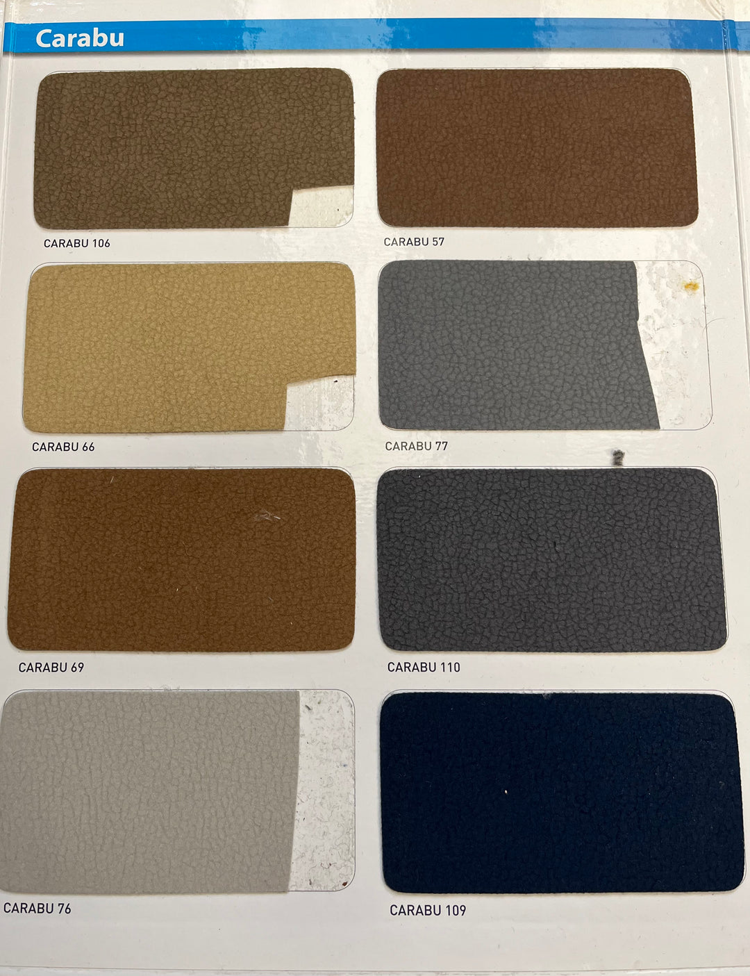 Aqua Clean Carabu Wildleder 21 Farben